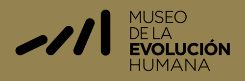 Logotipo do Museu da Evolução Humana